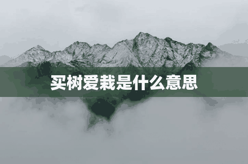 买树爱栽是什么意思(买树爱栽是什么意思啊)